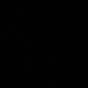 Meet your Posher, Alli